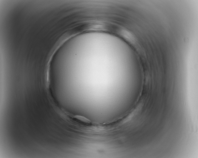 X0000088471370200706051334