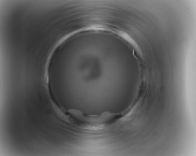 X0000088471372200706051334