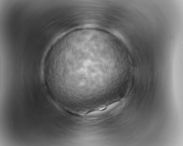 X0000088471374200706051334