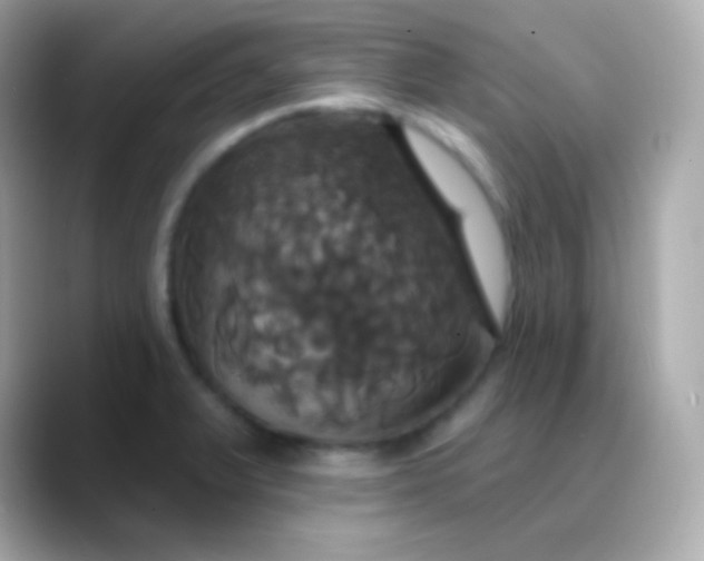 X0000088471375200706051334