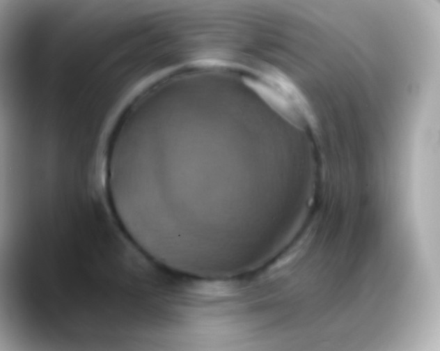 X0000088471376200706051334