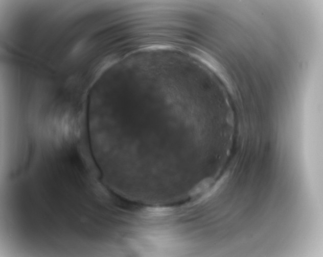 X0000088471377200706051334