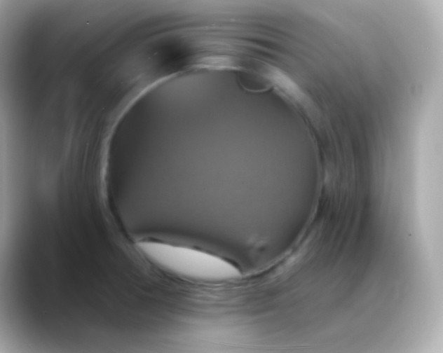 X0000088471378200706051334