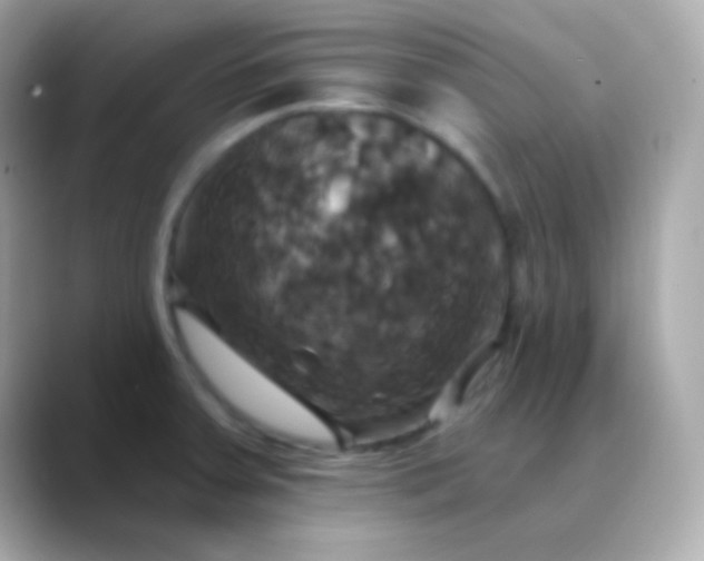 X0000088471379200706051334