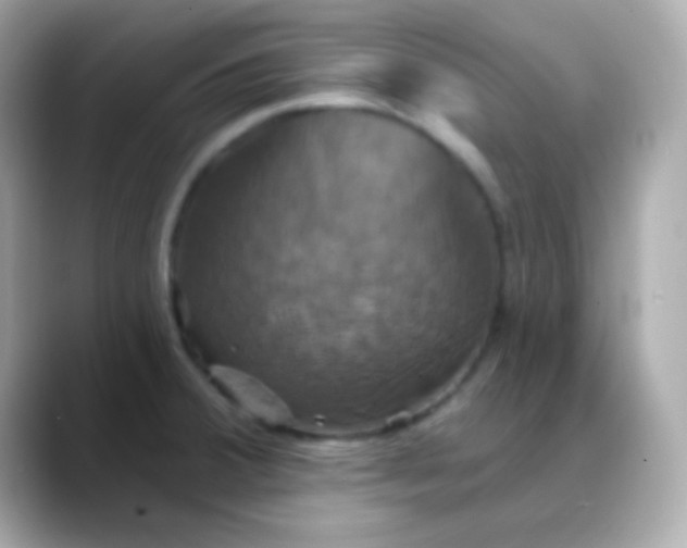 X0000088471380200706051334