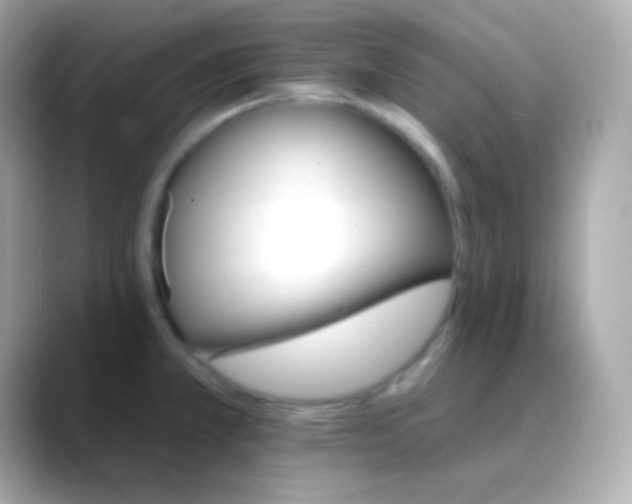 X0000088471381200706051334