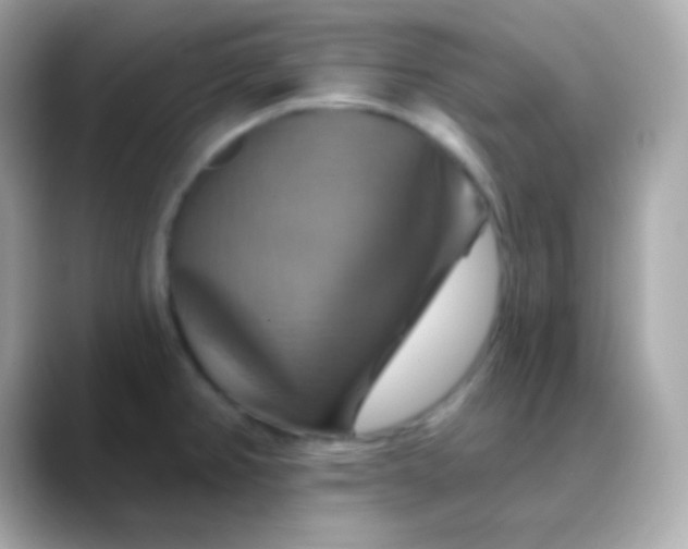 X0000088471382200706051334