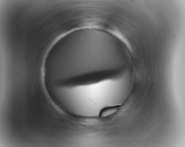 X0000088471383200706051334