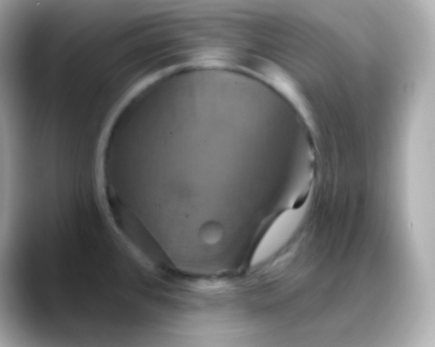 X0000088471384200706051334