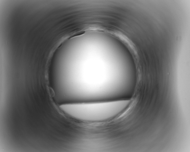 X0000088471385200706051334