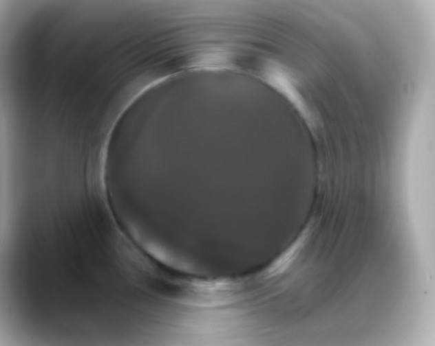 X0000088471386200706051334