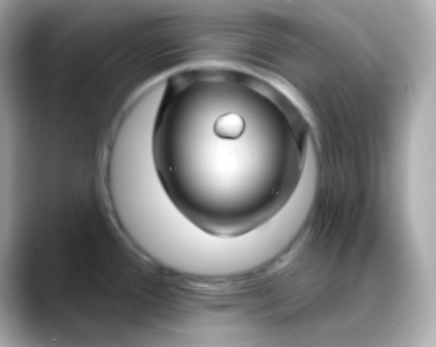 X0000088471388200706051334