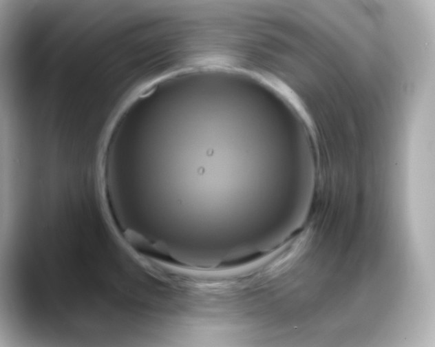 X0000088471389200706051334