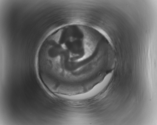 X0000088471391200706051334