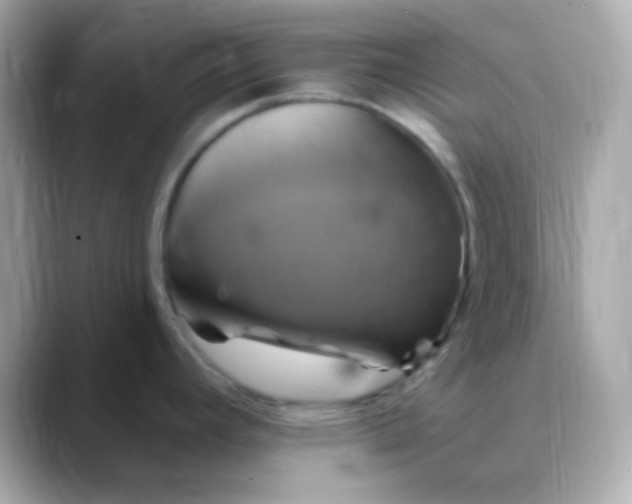 X0000088471392200706051334