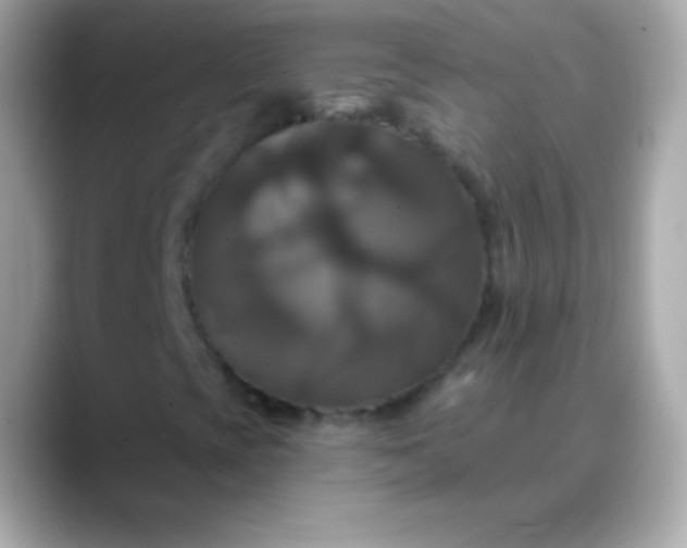 X0000088471393200706051334