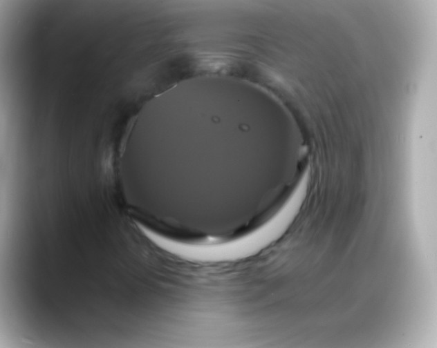 X0000088471394200706051334