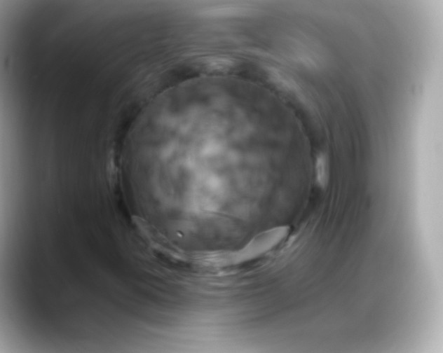 X0000088471395200706051334