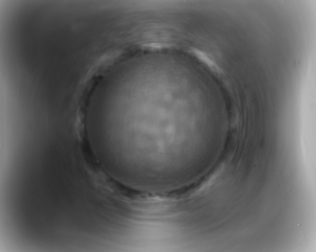 X0000088471398200706051334