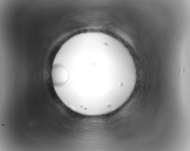 X0000088471400200706051334