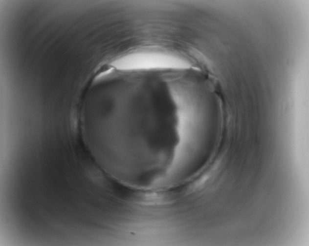 X0000088471401200706051334