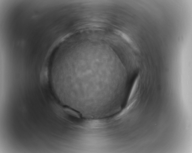 X0000088471402200706051334