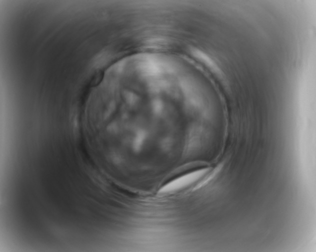 X0000088471403200706051334