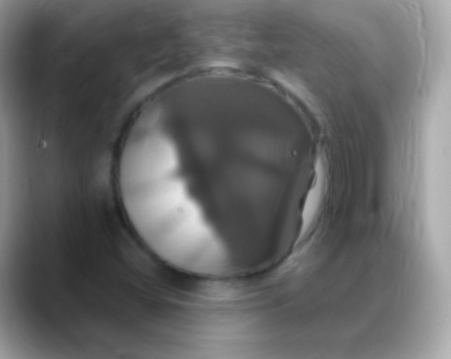 X0000088471404200706051334