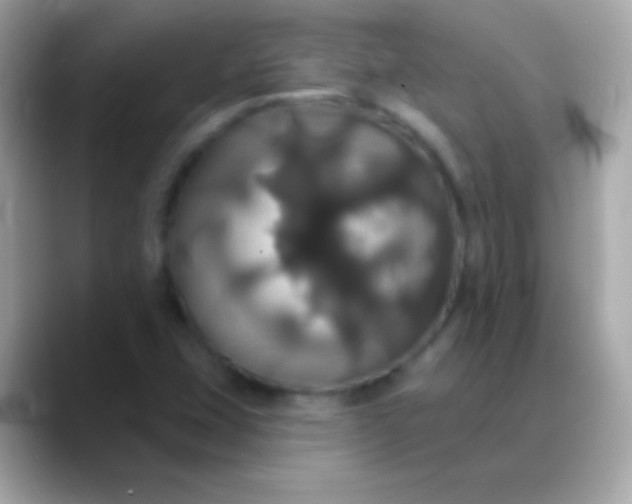 X0000088471407200706051334