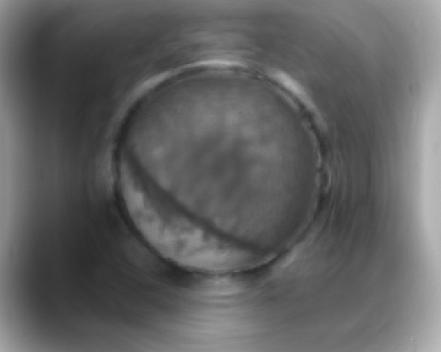 X0000088471408200706051334