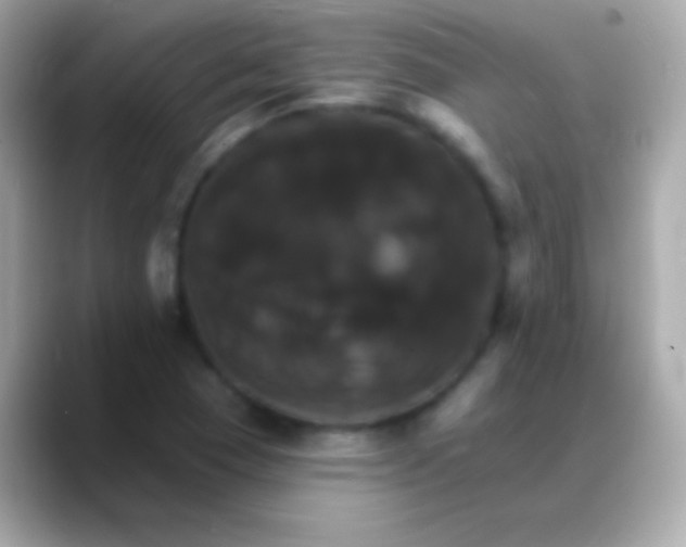 X0000088471409200706051334