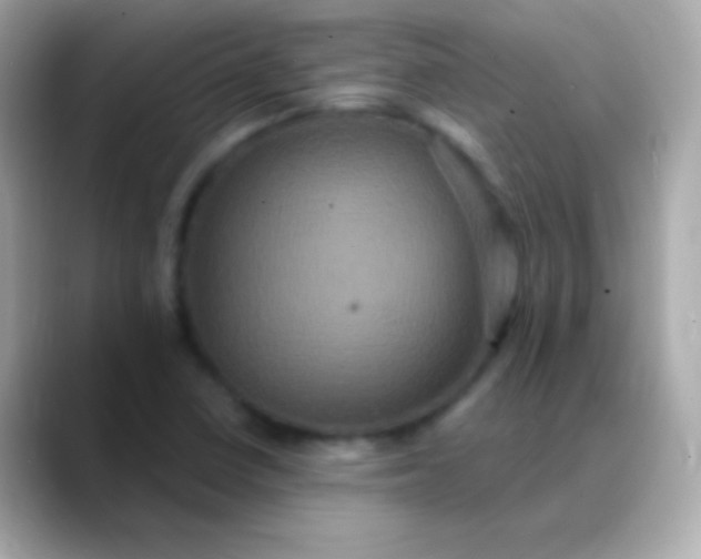 X0000088471410200706051334