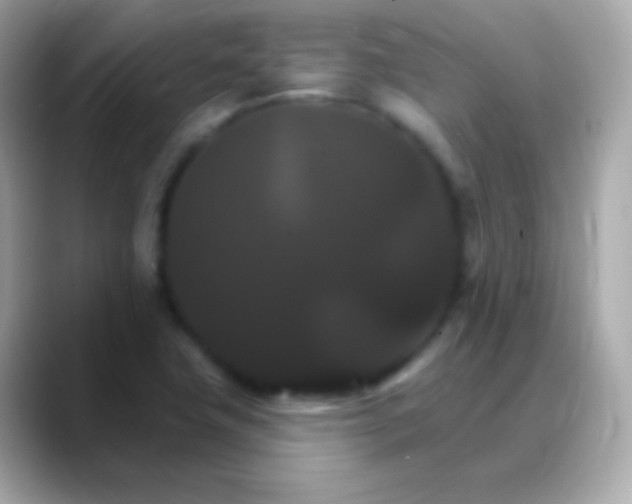 X0000088471411200706051334