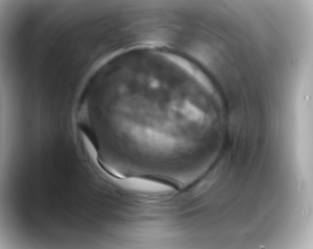 X0000088471412200706051334