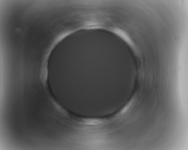 X0000088471413200706051334