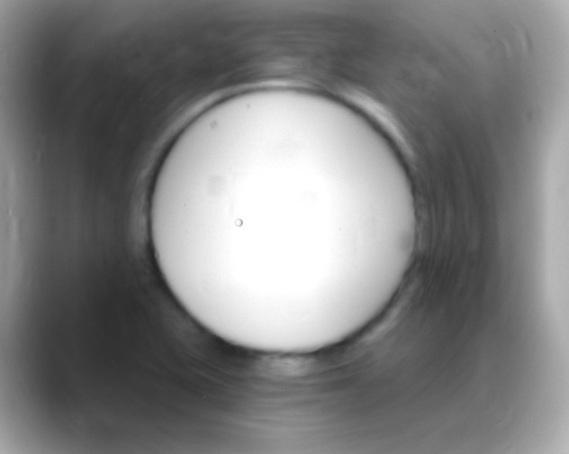 X0000088471415200706051334