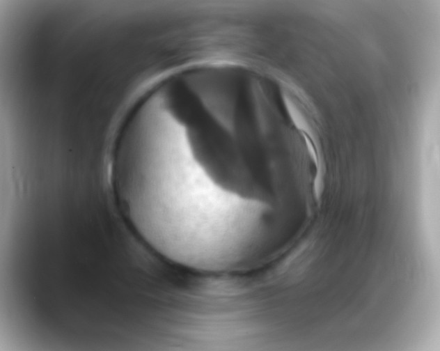 X0000088471416200706051334