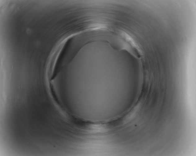 X0000088471418200706051334