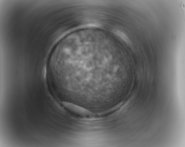 X0000088471420200706051334