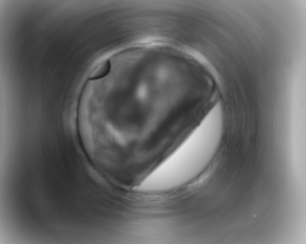 X0000088471421200706051334