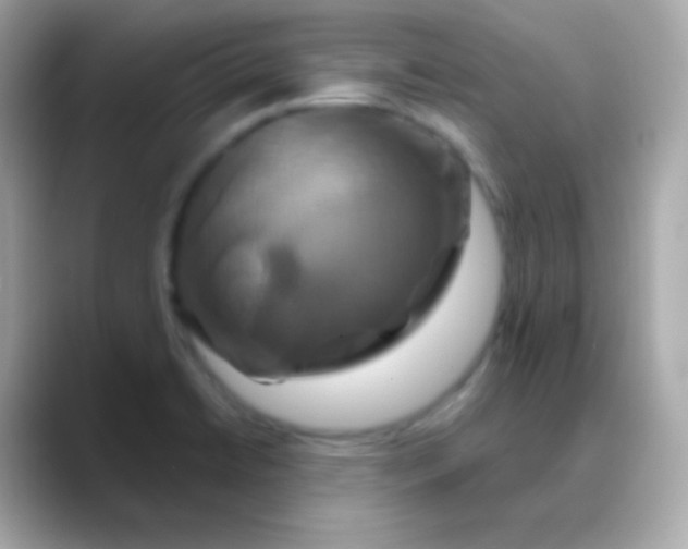 X0000088471422200706051334