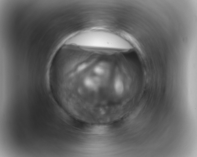 X0000088471423200706051334