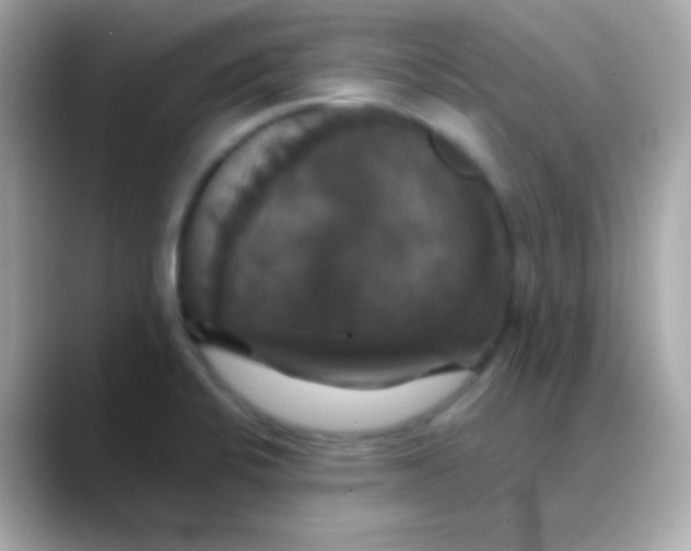 X0000088471424200706051334