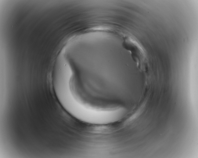 X0000088471425200706051334