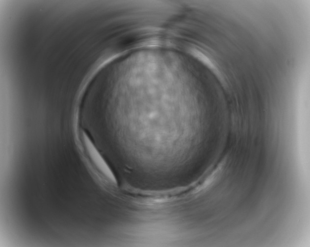 X0000088471426200706051334