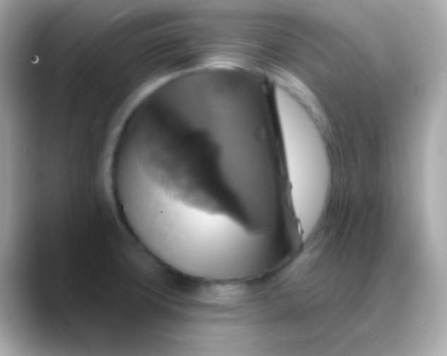 X0000088471427200706051334