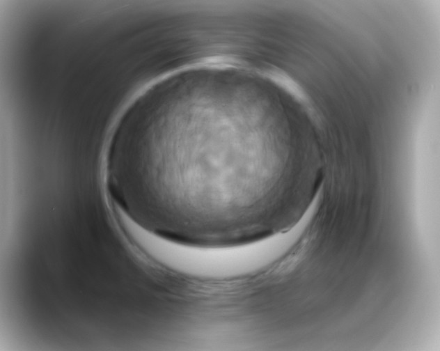 X0000088471430200706051334