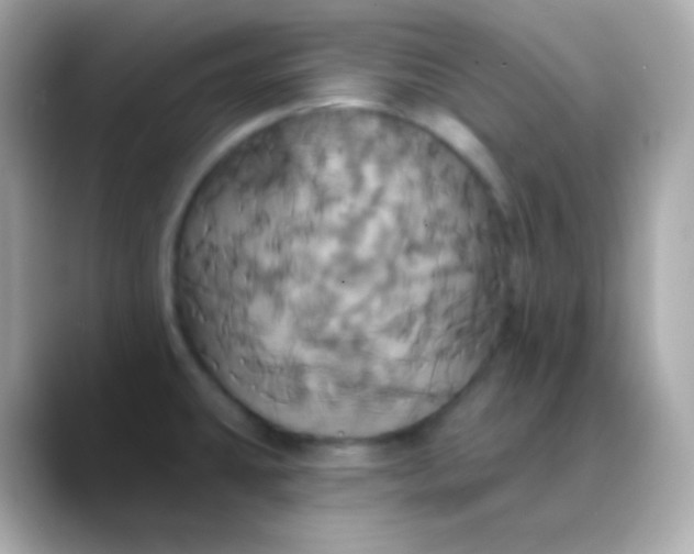 X0000088471431200706051334