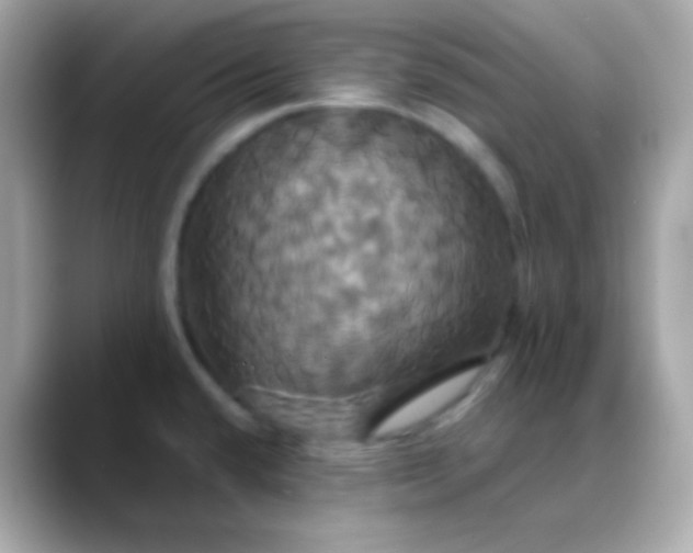 X0000088471432200706051334