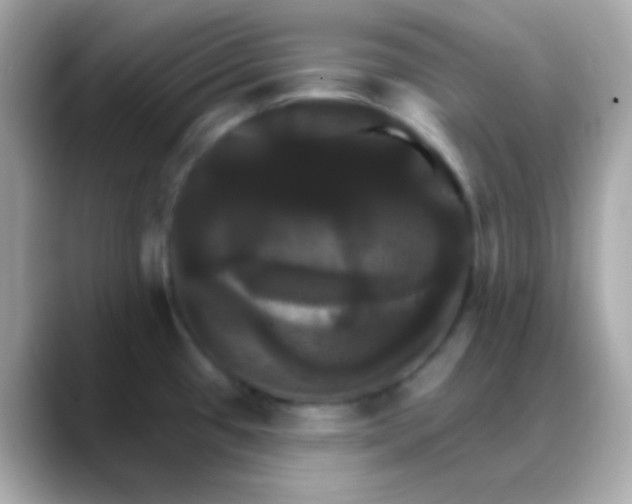 X0000088471433200706051334